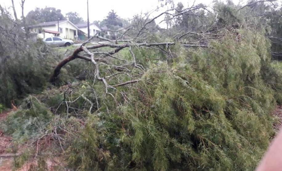 Chuvas intensas de outubro