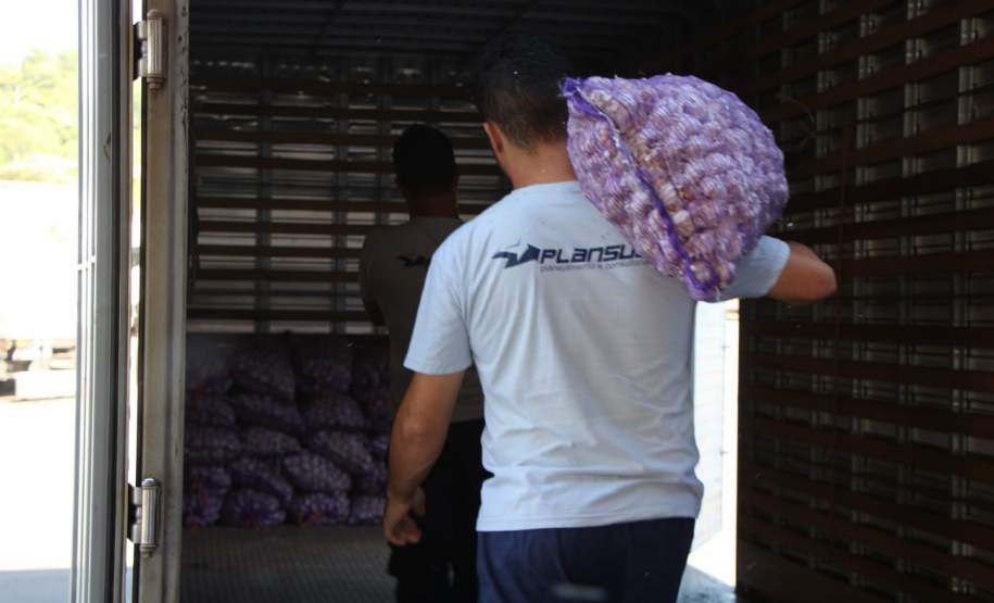Alho é distribuído
