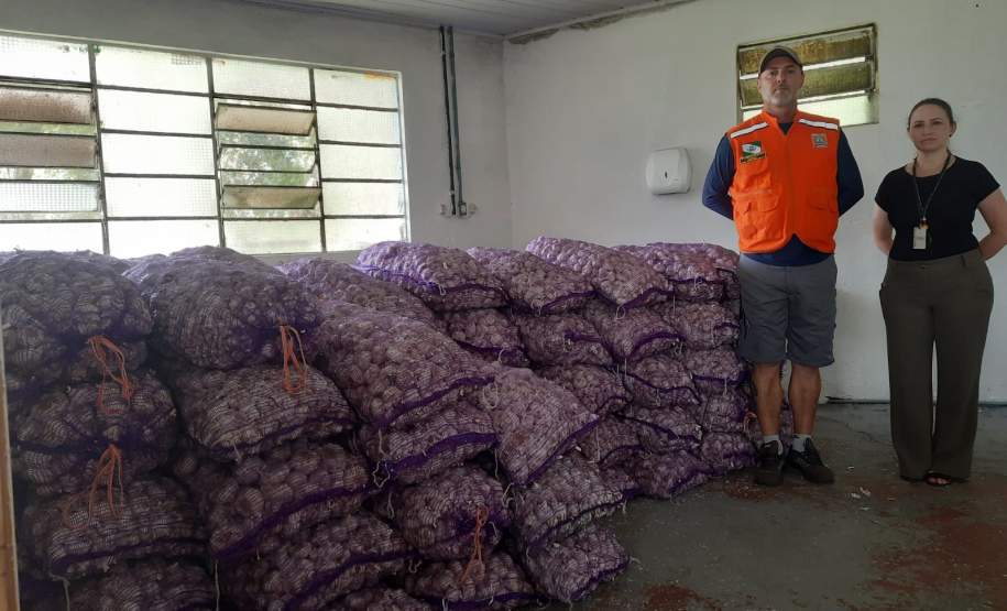 Alho é distribuído