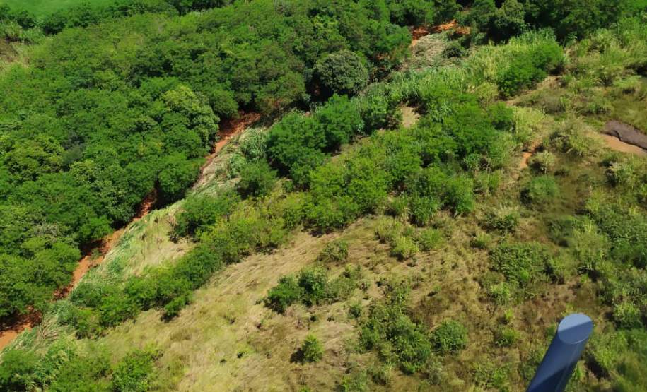 Defesa Civil monta força-tarefa para ajudar Bandeirantes; 270 famílias são afetadas