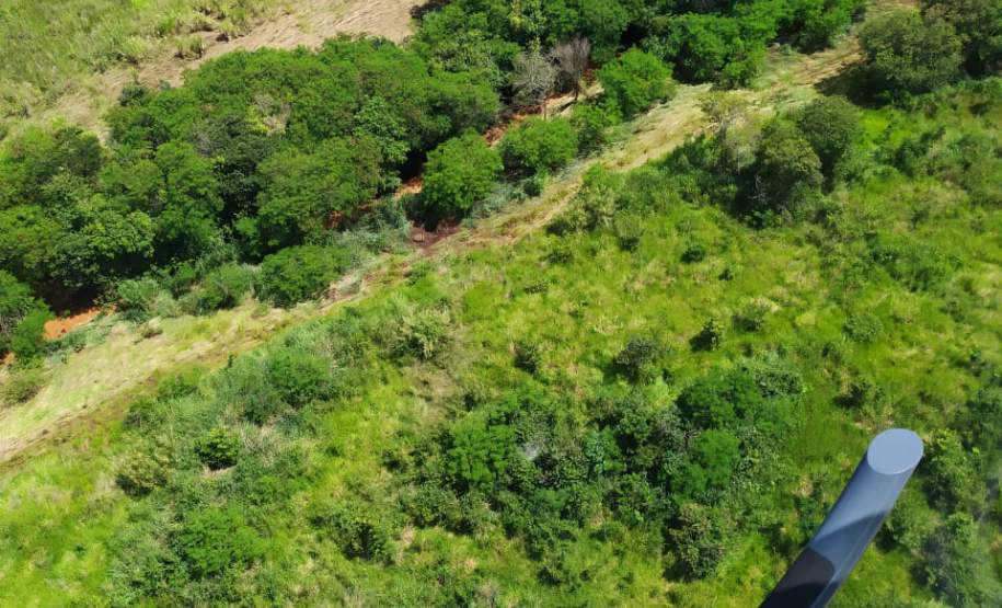 Defesa Civil monta força-tarefa para ajudar Bandeirantes; 270 famílias são afetadas