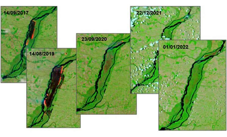 VFogo: conheça a plataforma tecnológica de vigilância de incêndios do Simepar