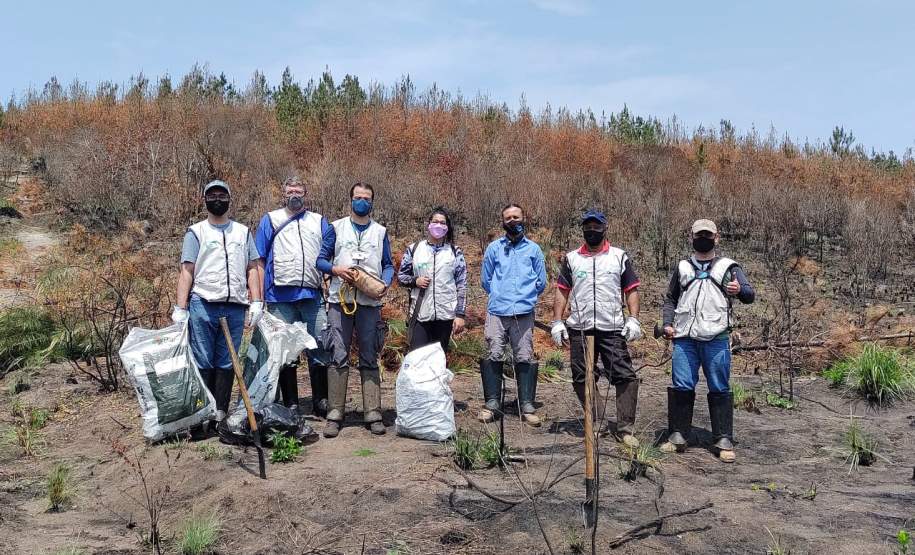Dia do Voluntário: órgãos estaduais estimulam trabalho espontâneo em diferentes áreas