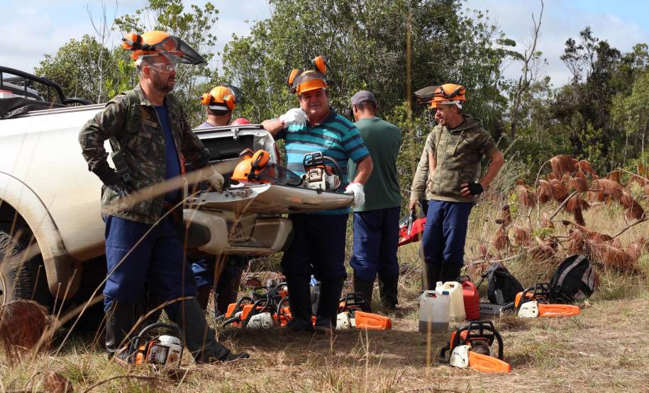 Dia do Voluntário: órgãos estaduais estimulam trabalho espontâneo em diferentes áreas