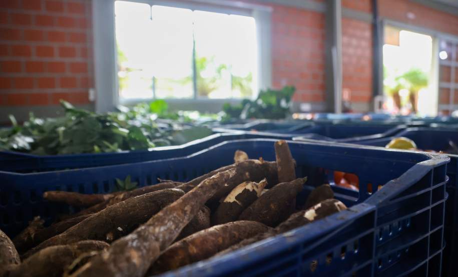 Estado mobiliza doação de 8 toneladas de frango por cooperativas; Defesa Civil entrega cestas básicas