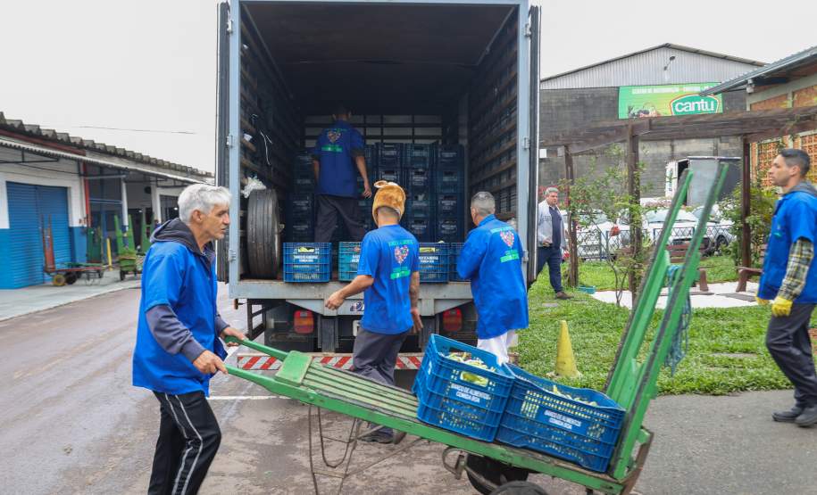 Estado mobiliza doação de 8 toneladas de frango por cooperativas; Defesa Civil entrega cestas básicas