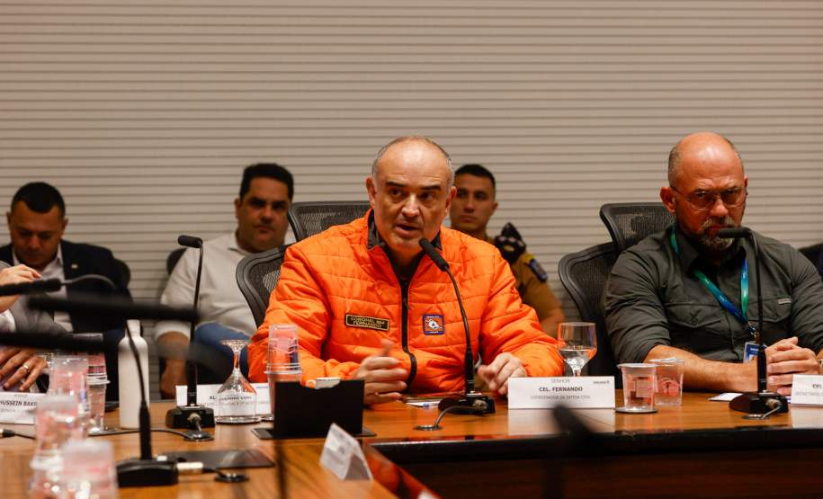 Estado mobiliza doação de 8 toneladas de frango por cooperativas; Defesa Civil entrega cestas básicas