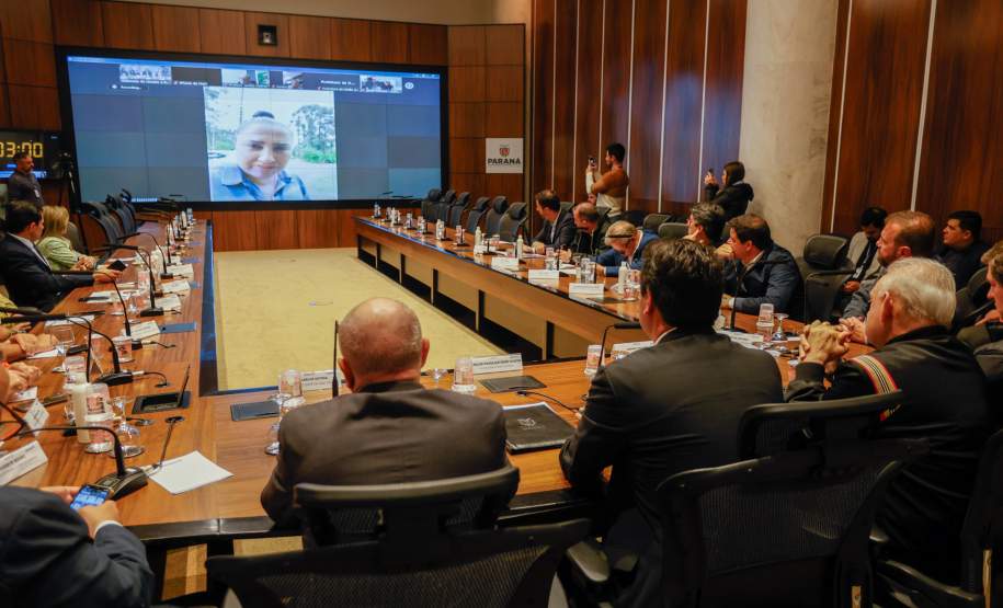 Estado mobiliza doação de 8 toneladas de frango por cooperativas; Defesa Civil entrega cestas básicas