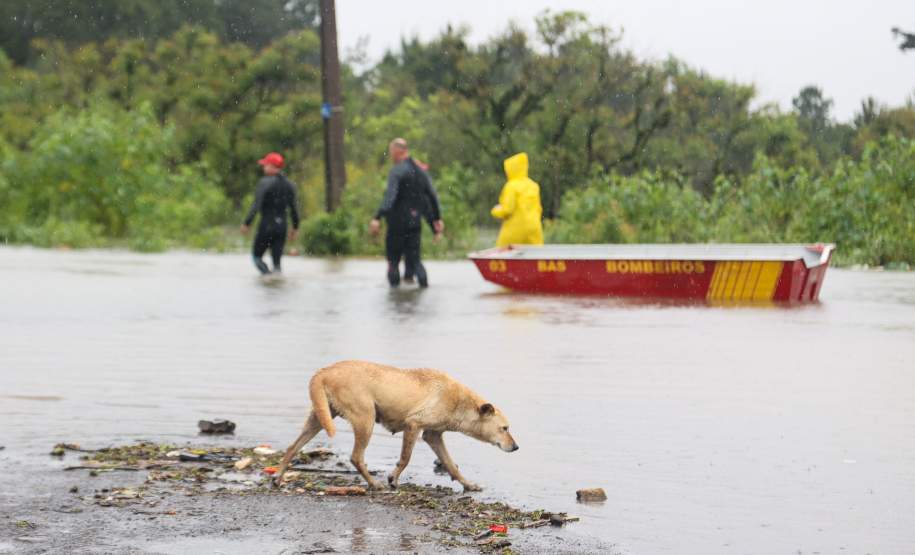 Estado auxilia nos atendimentos a famílias ilhadas em São Mateus do Sul