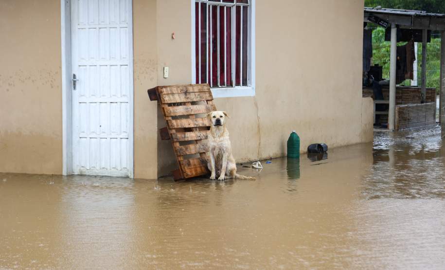 Estado auxilia nos atendimentos a famílias ilhadas em São Mateus do Sul
