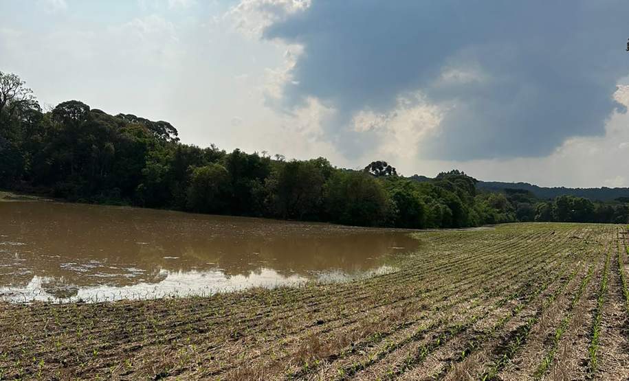 Balanço da Defesa Civil aponta 40 municípios afetados pelas fortes chuvas no Estado