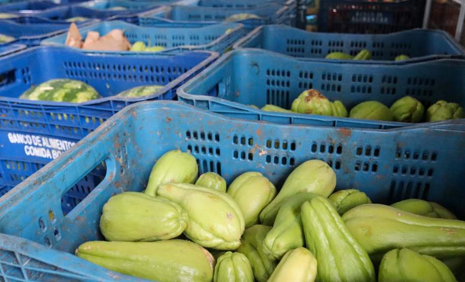 Ceasa-PR envia mais de 25 toneladas de alimentos para cidades afetadas pelas chuvas