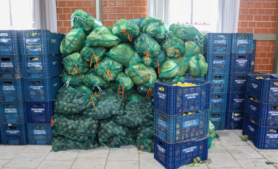 Ceasa-PR envia mais de 25 toneladas de alimentos para cidades afetadas pelas chuvas