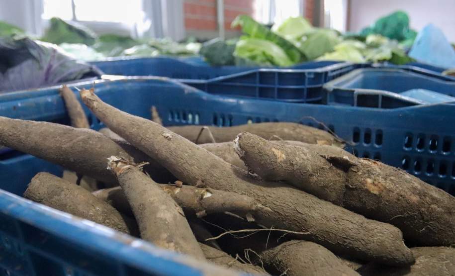 Ceasa-PR envia mais de 25 toneladas de alimentos para cidades afetadas pelas chuvas