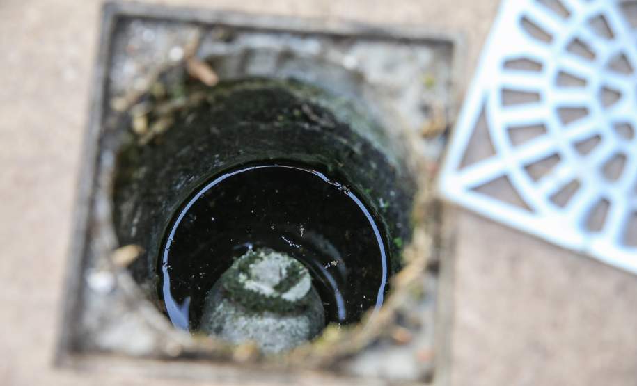 Paraná e outros três estados se unem em ações de combate à dengue nos municípios de divisa