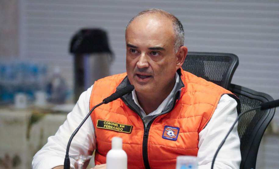 Comitê da dengue do Paraná convoca população para participar do Dia D neste sábado