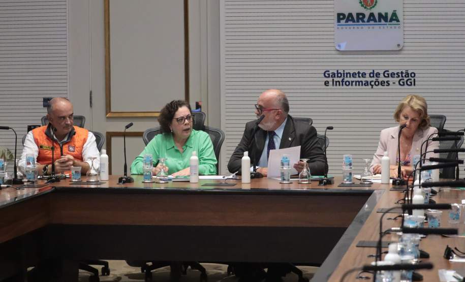 Comitê da dengue do Paraná convoca população para participar do Dia D neste sábado