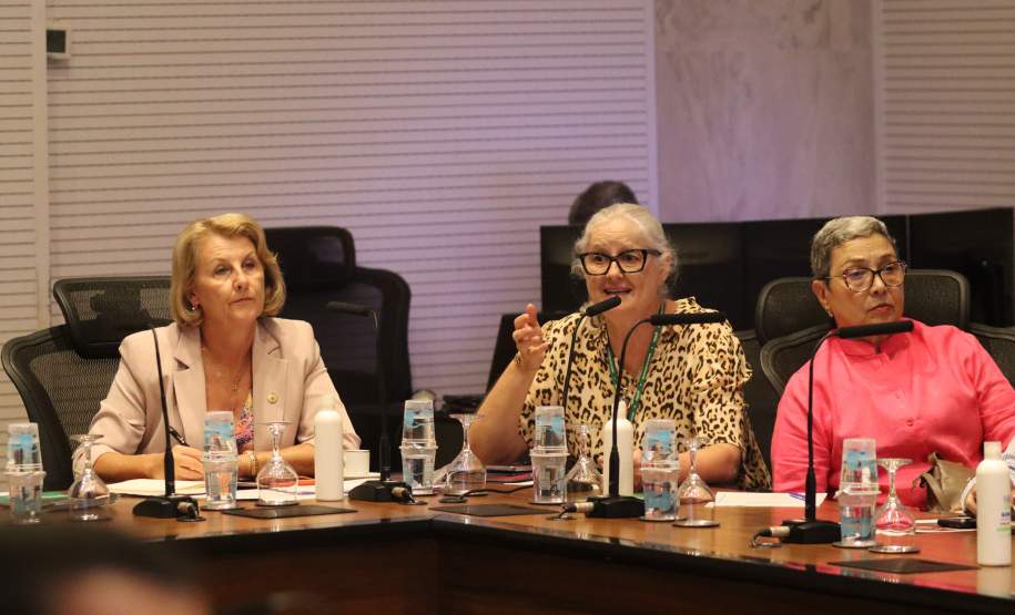 Comitê da dengue do Paraná convoca população para participar do Dia D neste sábado