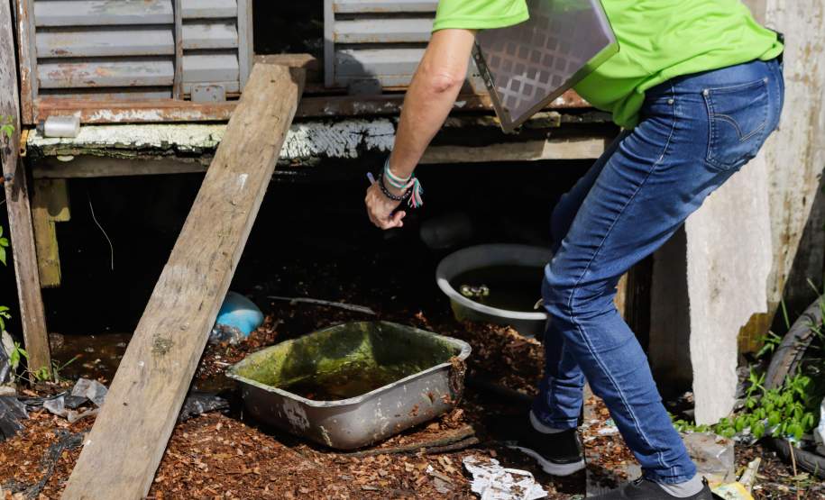 Paraná, Mato Grosso do Sul e São Paulo vão promover ações conjuntas contra a dengue