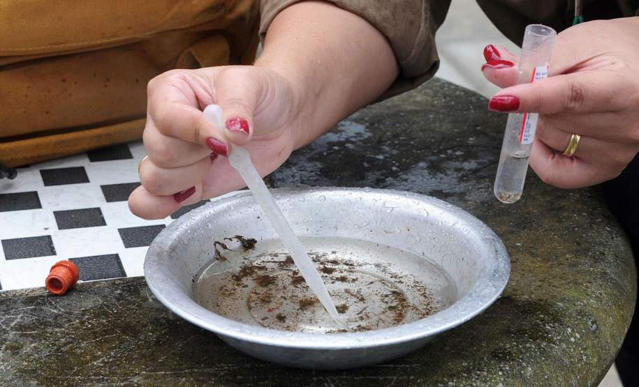 Paraná e outros três estados se unem em ações de combate à dengue nos municípios de divisa