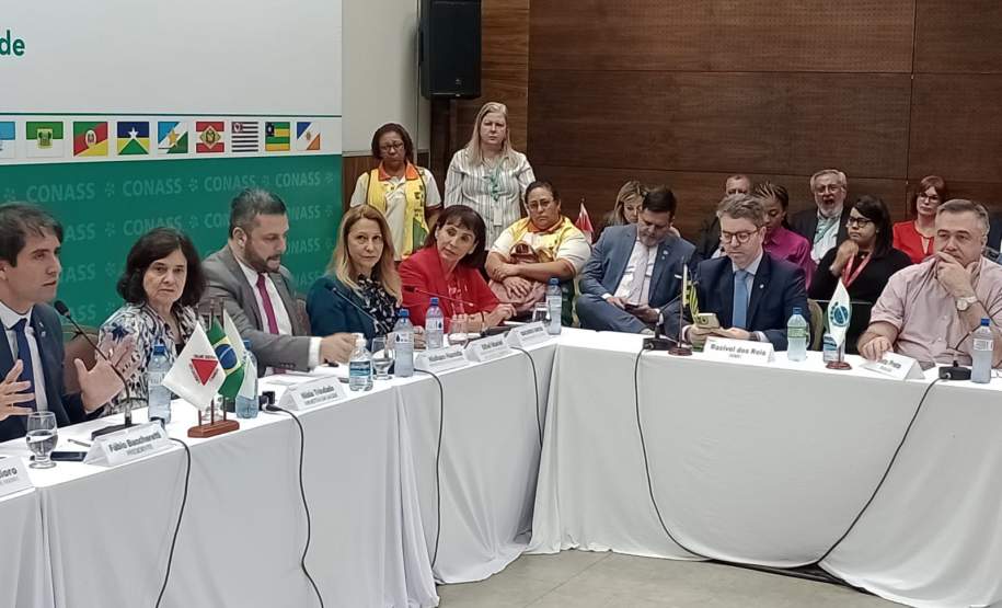 Comitê da dengue do Paraná convoca população para participar do Dia D neste sábado