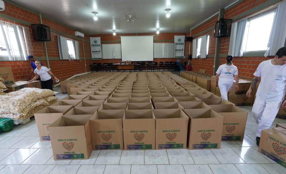Paraná enviará alimentos, 144 mil copos de água da Sanepar e colchões ao Rio Grande do Sul