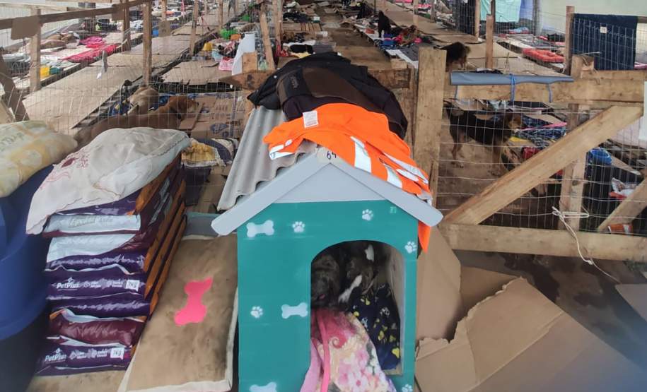 Paranaenses atendem mais de mil animais resgatados em hospital veterinário no RS