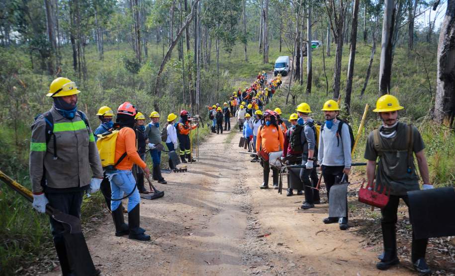 IAT capacita 65 voluntários para atuar em incêndios em Unidades de Conservação