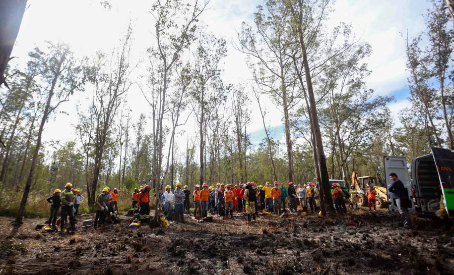 IAT capacita 65 voluntários para atuar em incêndios em Unidades de Conservação