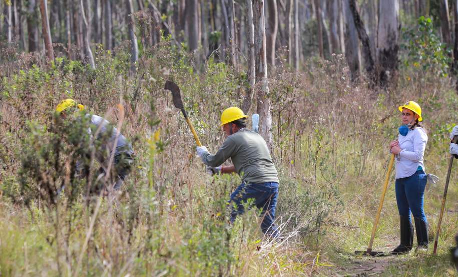 IAT capacita 65 voluntários para atuar em incêndios em Unidades de Conservação