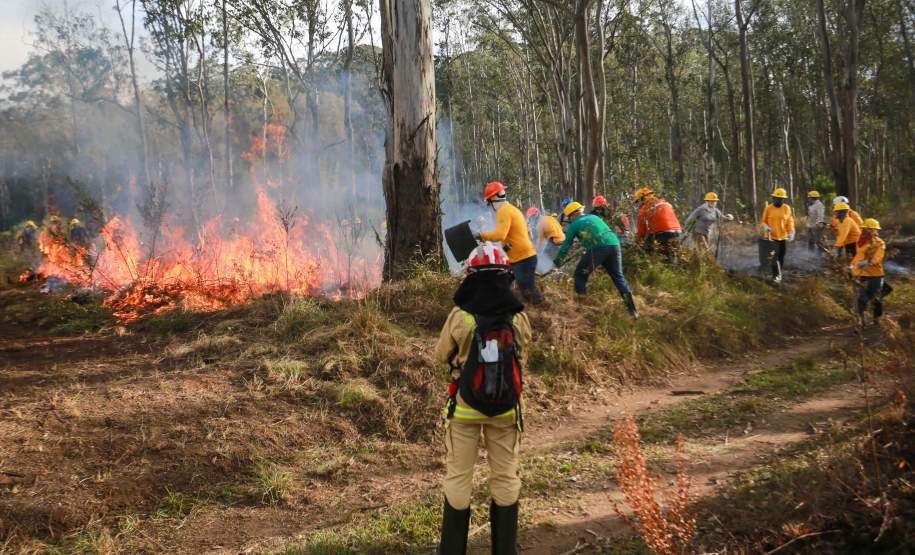 IAT capacita 65 voluntários para atuar em incêndios em Unidades de Conservação