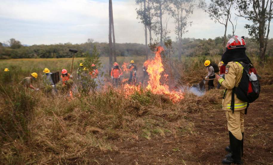 IAT capacita 65 voluntários para atuar em incêndios em Unidades de Conservação
