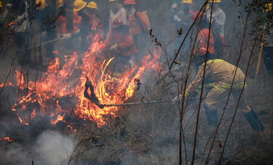 IAT capacita 65 voluntários para atuar em incêndios em Unidades de Conservação
