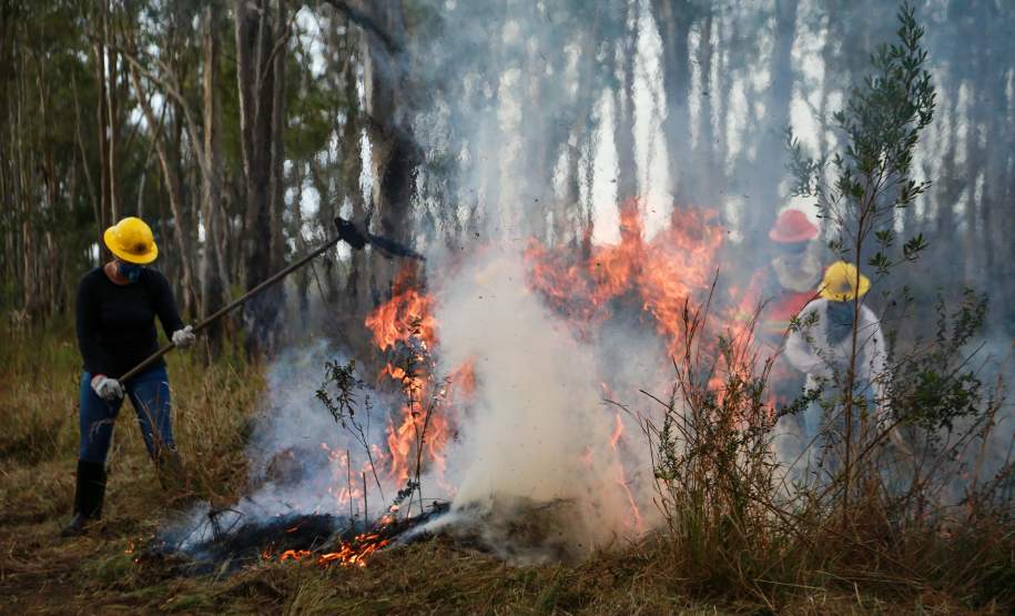 IAT capacita 65 voluntários para atuar em incêndios em Unidades de Conservação