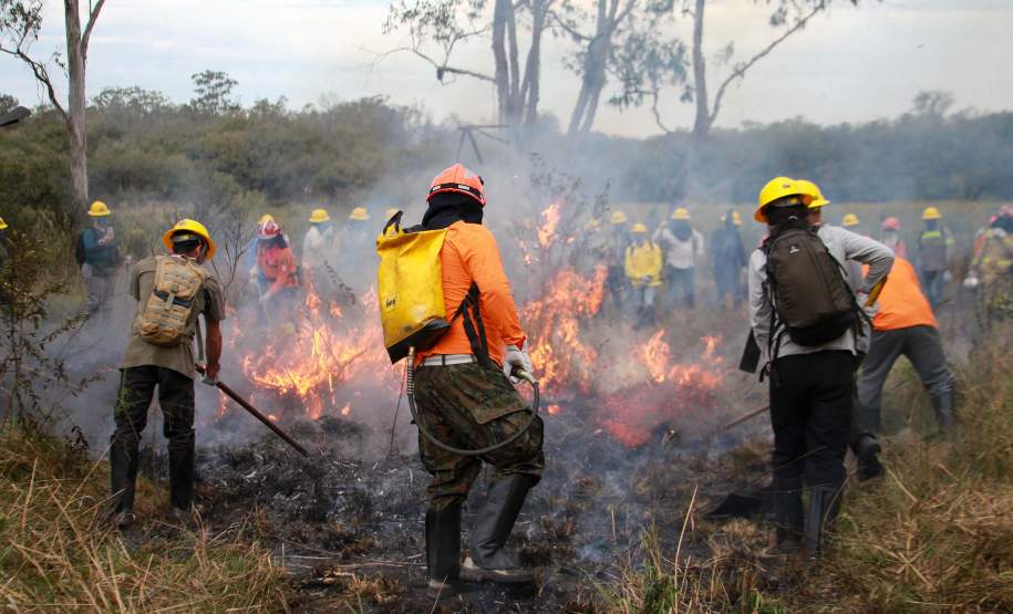 IAT capacita 65 voluntários para atuar em incêndios em Unidades de Conservação