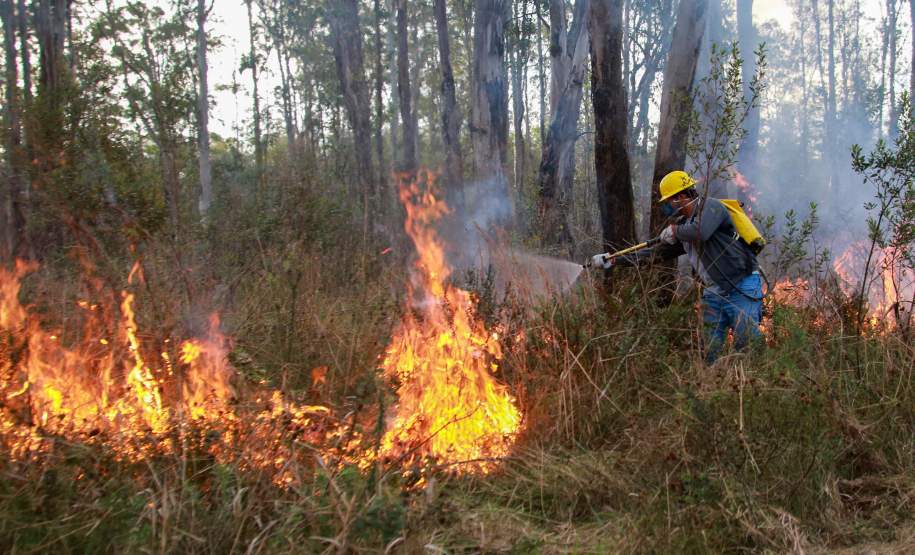 IAT capacita 65 voluntários para atuar em incêndios em Unidades de Conservação