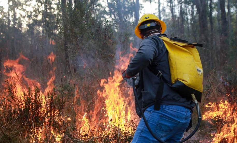 IAT capacita 65 voluntários para atuar em incêndios em Unidades de Conservação