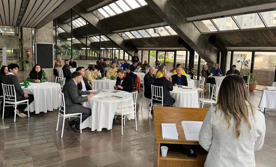 Com novo mascote, Paraná inicia campanha de prevenção de incêndios florestais