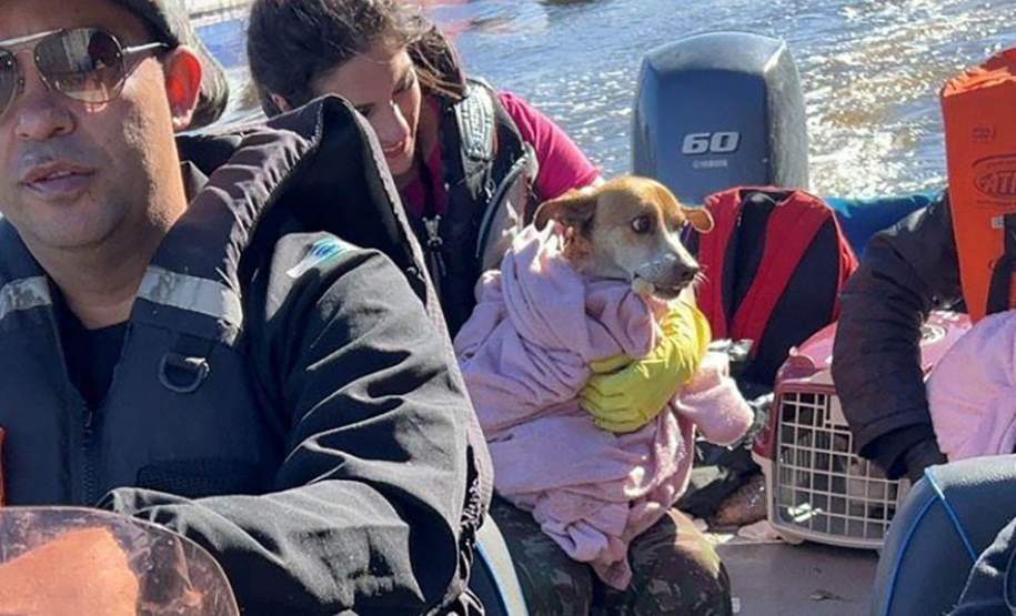 Voluntariado: conheça paranaenses que fazem a diferença em eventos extremos