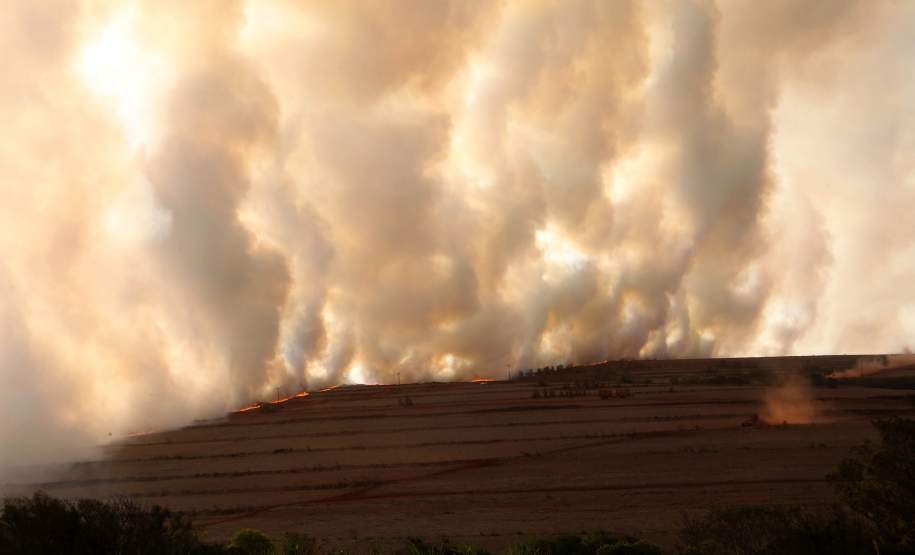 Alerta de tempo seco no Paraná: governador decreta emergência de estiagem