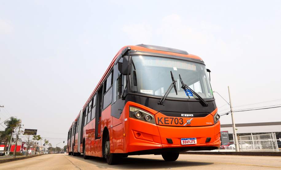 Estado de alerta: Paraná atinge momento mais crítico para casos de queimadas florestais