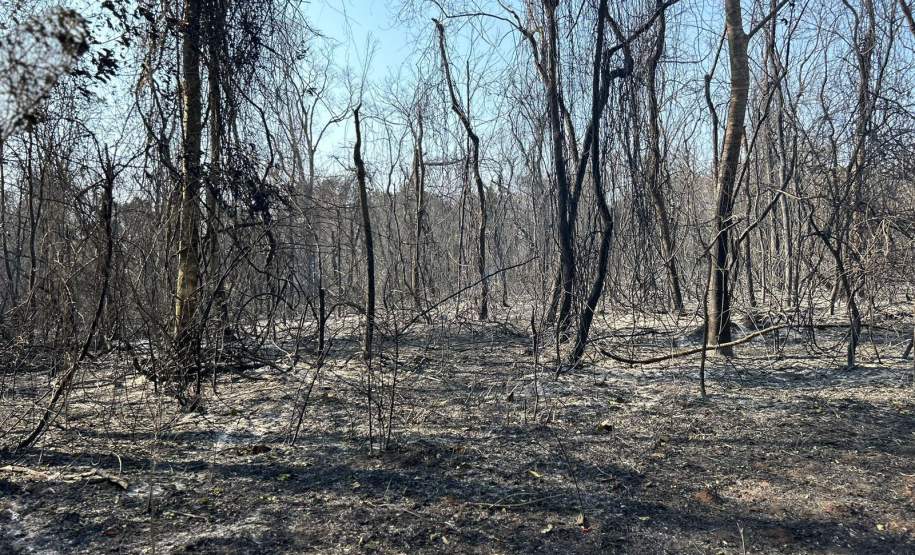 Governo do Paraná libera fundo de R$ 5 milhões para municípios em situação de emergência