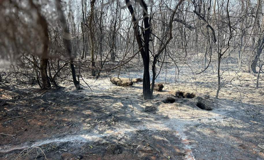 Governo do Paraná libera fundo de R$ 5 milhões para municípios em situação de emergência