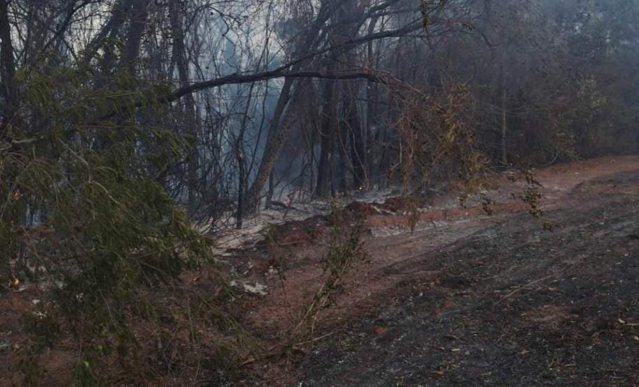 Governo do Paraná libera fundo de R$ 5 milhões para municípios em situação de emergência
