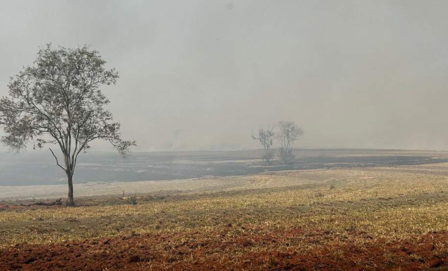 Governo do Paraná libera fundo de R$ 5 milhões para municípios em situação de emergência