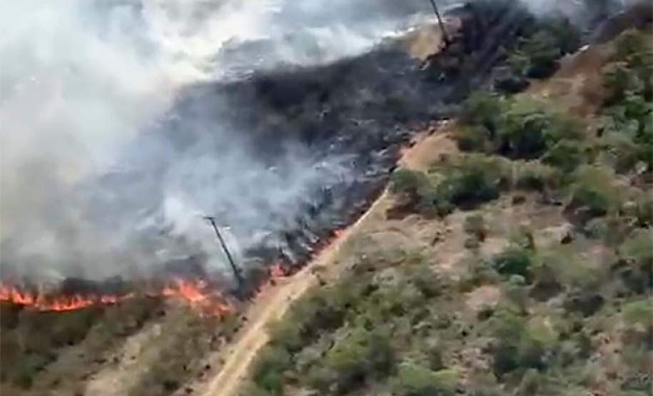 Avião contratado pelo Estado é acionado para combater incêndio florestal em Palmeira