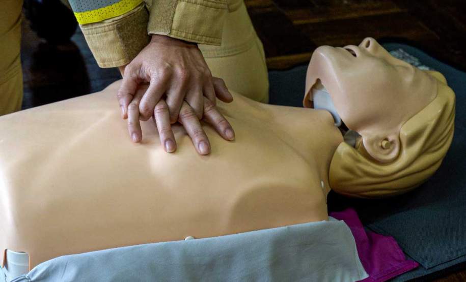 Estado capacita 5,8 mil servidores da educação para atuar como brigadistas