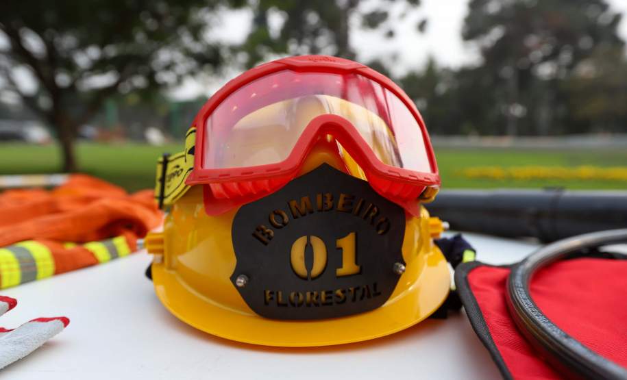 Estado começa semana que vem capacitação de 600 brigadistas no combate a incêndios