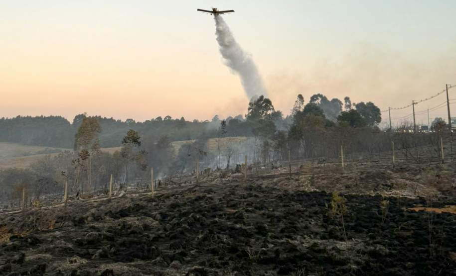 Incêndios florestais no Paraná caem 57% entre a primeira quinzena de setembro e outubro