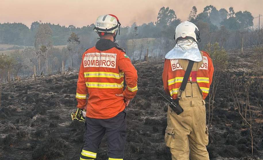 Incêndios florestais no Paraná caem 57% entre a primeira quinzena de setembro e outubro